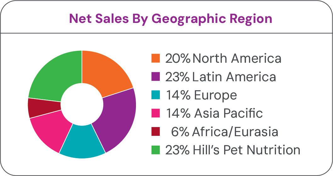 Net Sales By Geographic Region